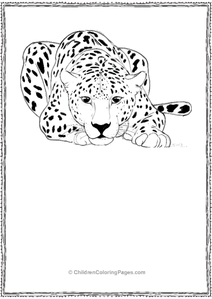 A Cheetah Hunting Scaled Free PDF Printable