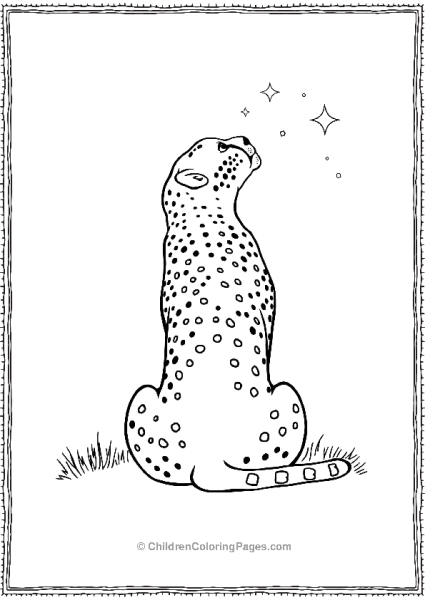 Cheetah Staring At Stars Scaled Free PDF Printable