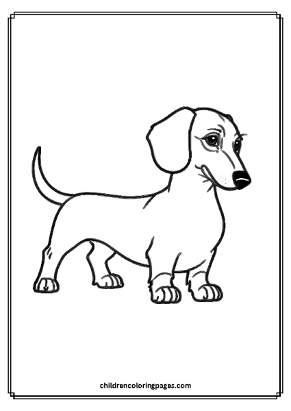 _Dachshund Drawing Free PDF Printable