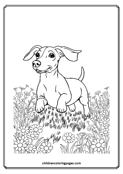 Dachshund Running In A Daisy Field Free PDF Printable