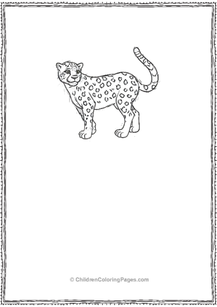 Spotted Cheetah Scaled Free PDF Printable