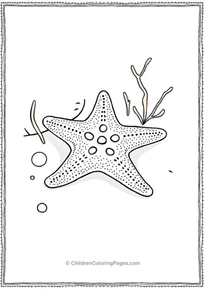 A-Realistic-Starfish-On-A-Sandy-Ocean-Floor Free PDF Printable