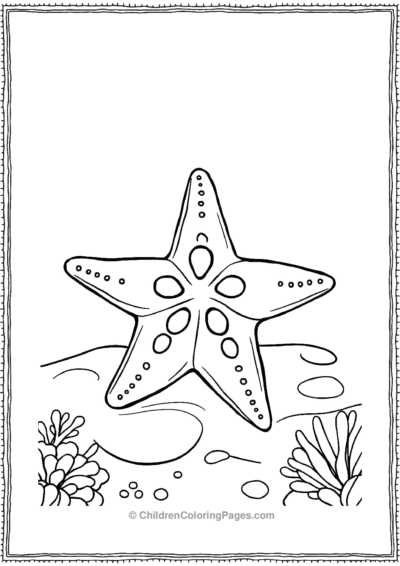 A-Simple-Starfish-With-Large-EasyToColor-Sections- Free PDF Printable