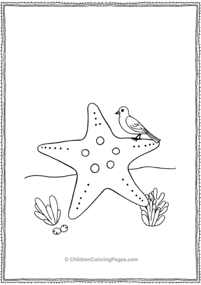 A-Starfish-With-A-Small-Bird-Friend Free PDF Printable