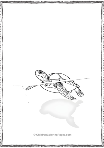 A-Turtle-Swimming-In-A-Cool-Lake-On-A-Hot-Summer-Day Free PDF Printable