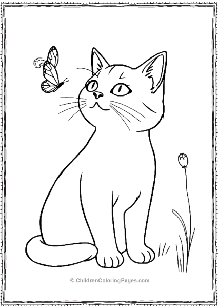 Cat Watching A Butterfly Scaled Free PDF Printable