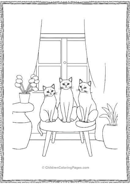 Cats Sitting In A Lounge Scaled Free PDF Printable