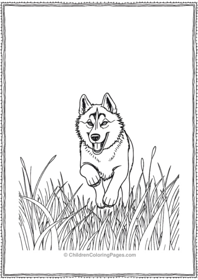 Husky-Running-Through-Grass Free PDF Printable