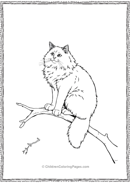 Norwegian Forest Cat Scaled Free PDF Printable