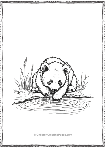 Panda-Drinking-Water-From-A-Small-Pool Free PDF Printable