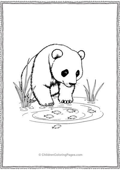 Panda-Watching-Small-Fish-In-Shallow-Waters Free PDF Printable