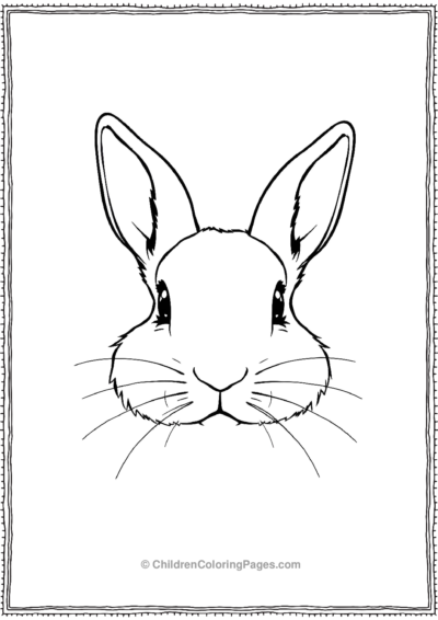 Rabbit-Face-Close-up Free PDF Printable