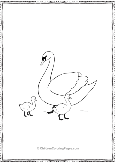 Swan-And-Cygnets Free PDF Printable