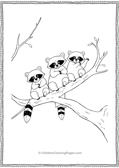 Three-Raccoon-Friends-Sitting-On-A-Branch Free PDF Printable