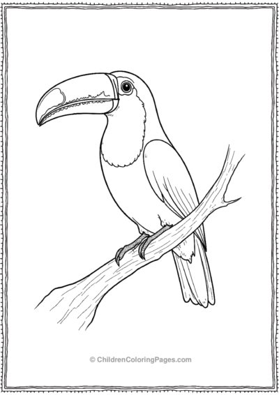 Toucan-On-A-Tree Free PDF Printable