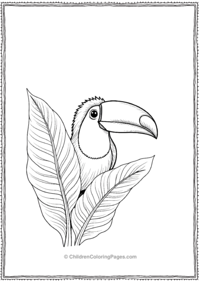 Toucan-Peeking-Out Free PDF Printable