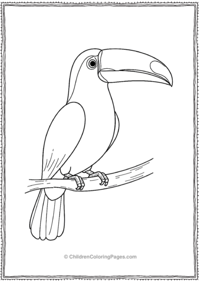 Toucan-With-An-Oversized-Beak Free PDF Printable