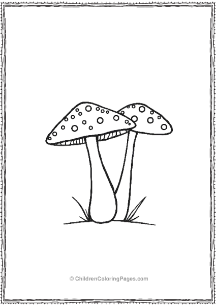 Two Basic Mushrooms Free PDF Printable