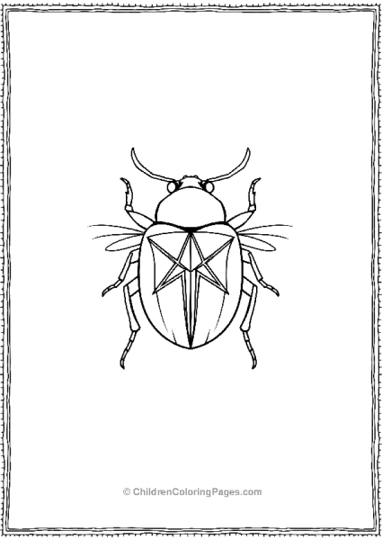 A Beetle With Triangular Patterns Radiating From Its Free PDF Printable