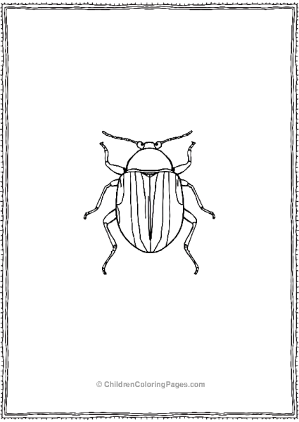 A Beetle With Zebra Stripe Patterns On Its Shell Free PDF Printable