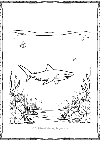 A Blacktip Reef Shark Hunting In Shallow Water Free PDF Printable