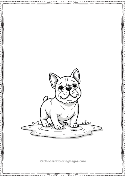 A French Bulldog Playing In A Small Puddle Free PDF Printable