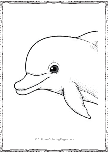 A Happy Dolphin Smiling Free PDF Printable