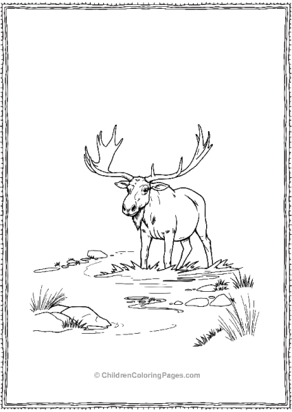 A Majestic Moose Crossing A Shallow Water Free PDF Printable