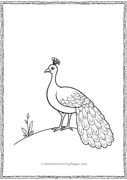 A Minimalist Peacock Standing On A Small Hill Free PDF Printable