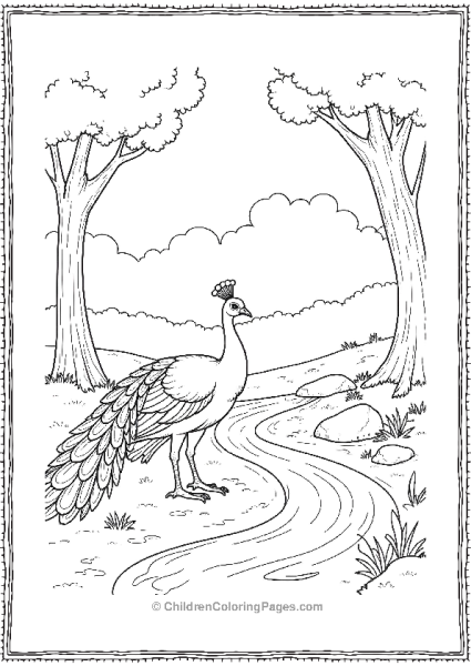 A Realistic Peacock Standing Near A Stream Free PDF Printable