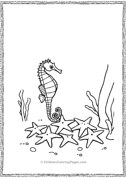 A Realistic Seahorse Observing Sea Stars Free PDF Printable