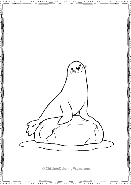 A Simple Seal Sitting On A Rock Free PDF Printable