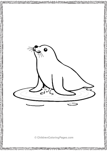 A Simple Seal Splashing Water In A Puddle Free PDF Printable