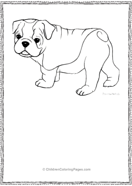 French Bull Dog Looking Cute Free PDF Printable