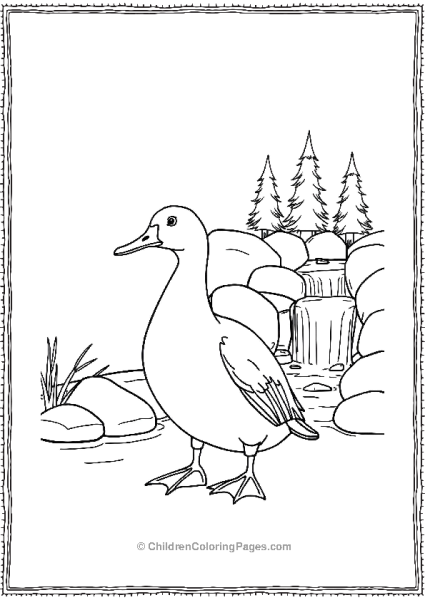 Duck Standing By A Waterfall Free PDF Printable