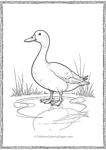 Duck Standing On The Edge Of Pond Free PDF Printable