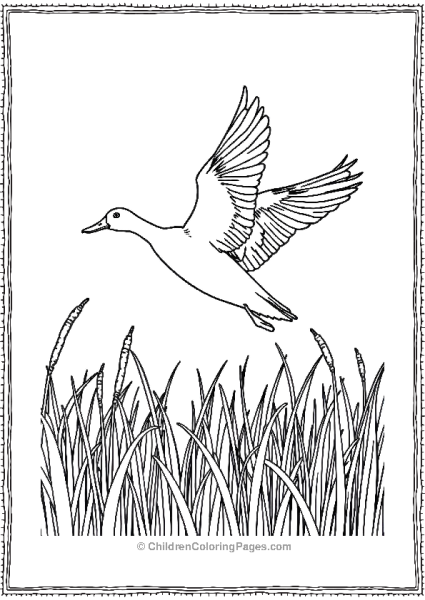 Duck Taking Of Mid Flight Free PDF Printable