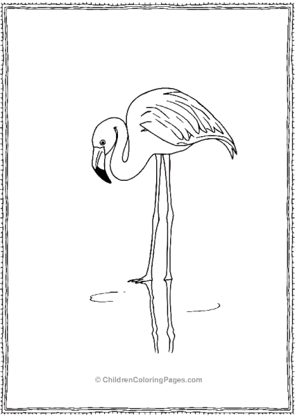 Flamingo Looking Down At Its Feet Free PDF Printable