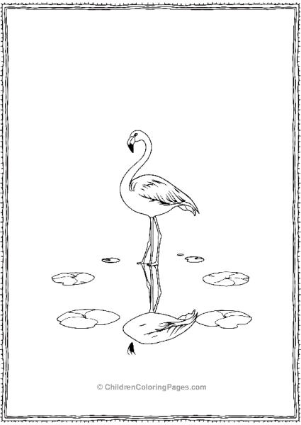 Flamingo Reflected In A Pool Free PDF Printable