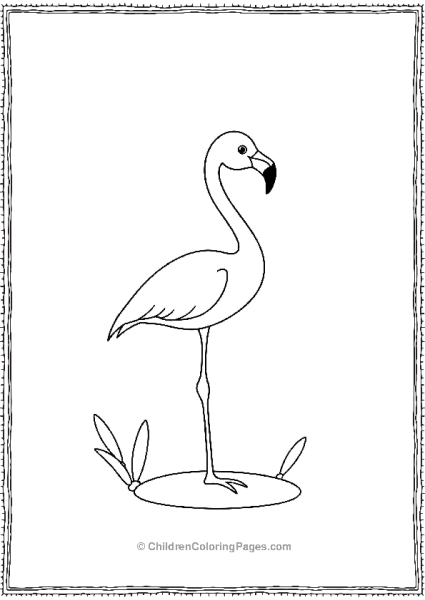 Flamingo Simple Design Easy To Color Free PDF Printable