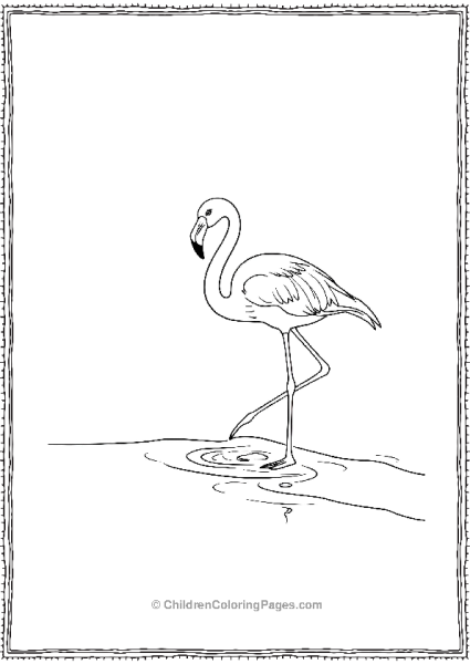 Flamingo Walking By Shore Free PDF Printable