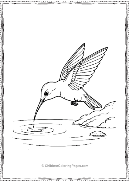 Hummingbird Dipping Its Beak In Shallow Water Free PDF Printable