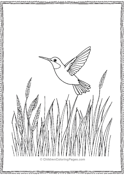 Hummingbird Flying Near A Field Free PDF Printable