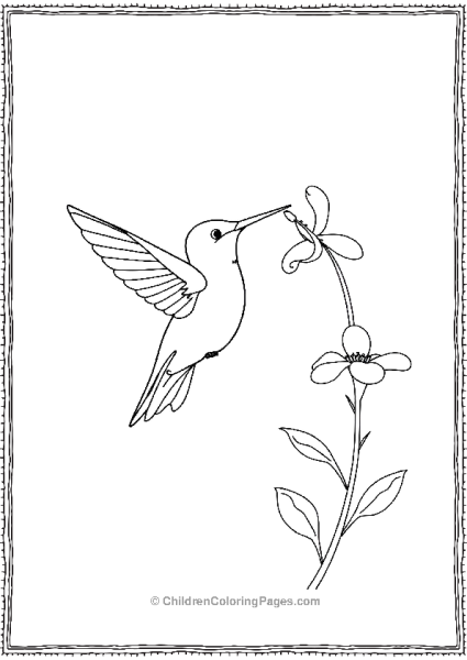 Hummingbird Hovering Near A Flower Free PDF Printable