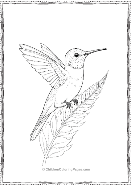 Hummingbird Perched On A Fern Free PDF Printable