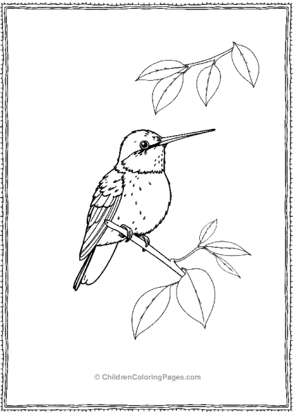 Hummingbird Perched On A Tree Branch Free PDF Printable