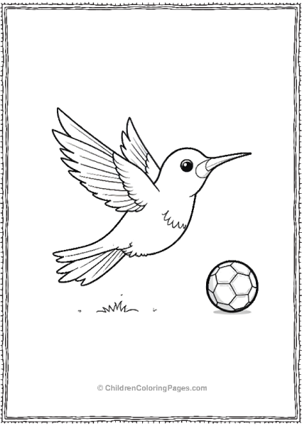 Hummingbird Playing Soccer Free PDF Printable