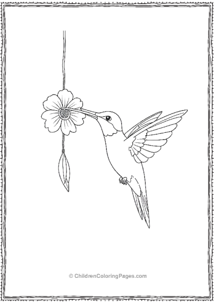 Hummingbird Sipping Nectar Free PDF Printable