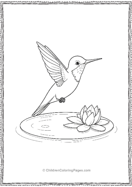 Hummingbird Sitting On A Lilly Pad Free PDF Printable