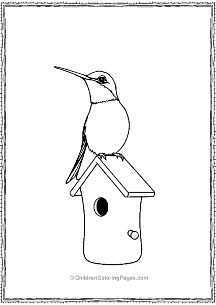 Hummingbird Sitting On Top Of A Bird House Free PDF Printable